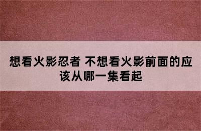 想看火影忍者 不想看火影前面的应该从哪一集看起